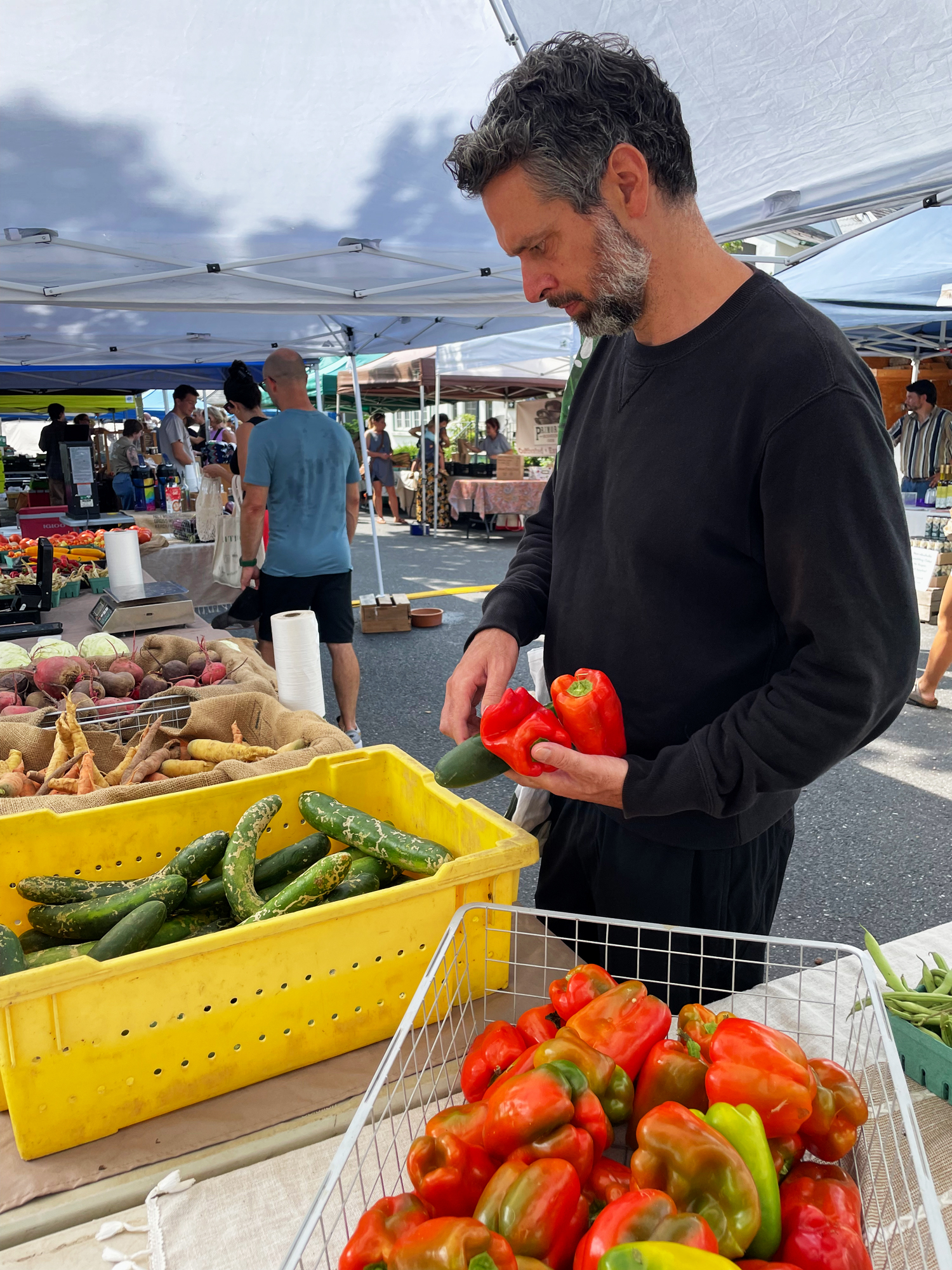 Farmers market shopping Doylestown PA