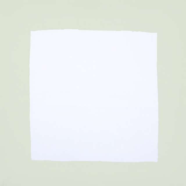 White linen napkin with pastel green border