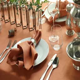 Sienna Linen Tablecloth <br>$250