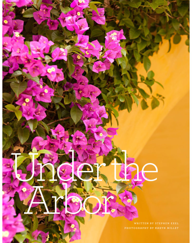 Entertaining outside under a bougainvillea trellis