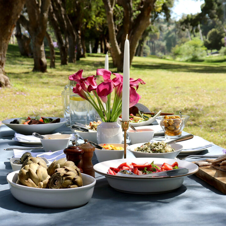 Petrol Dark Green Tablecloth Outdoor Picnic Sophisticated Dining 
